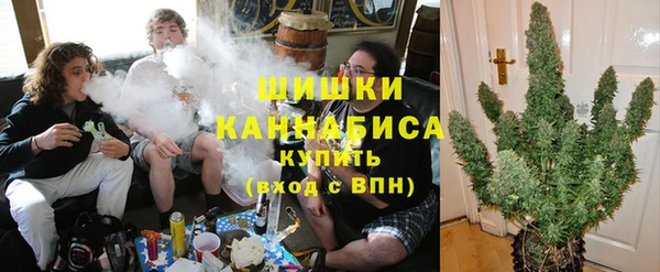 ешки Ладушкин