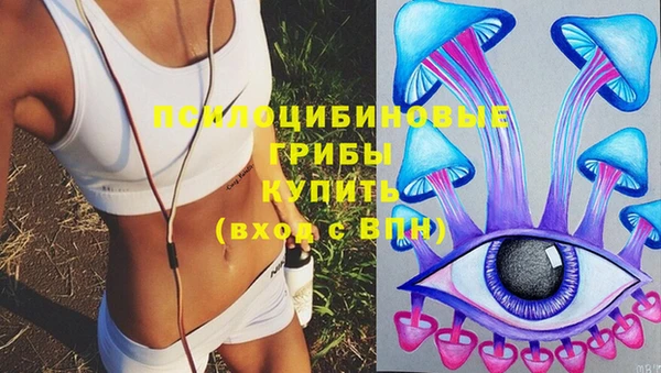 ешки Ладушкин