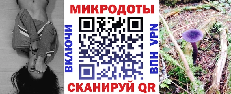 Галлюциногенные грибы Cubensis как найти наркотики Нефтеюганск